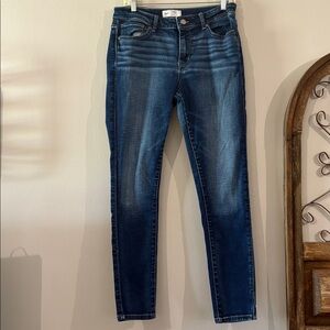 BKE Stella Mid-Rise Slim Fit Skinny Jeans